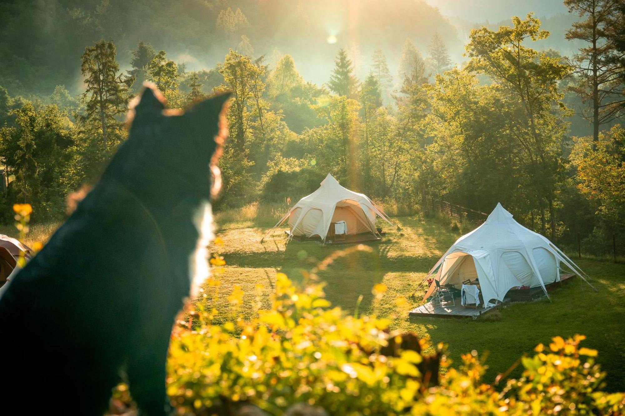 Glamping Gozdna Jasa 호텔 보베츠 외부 사진